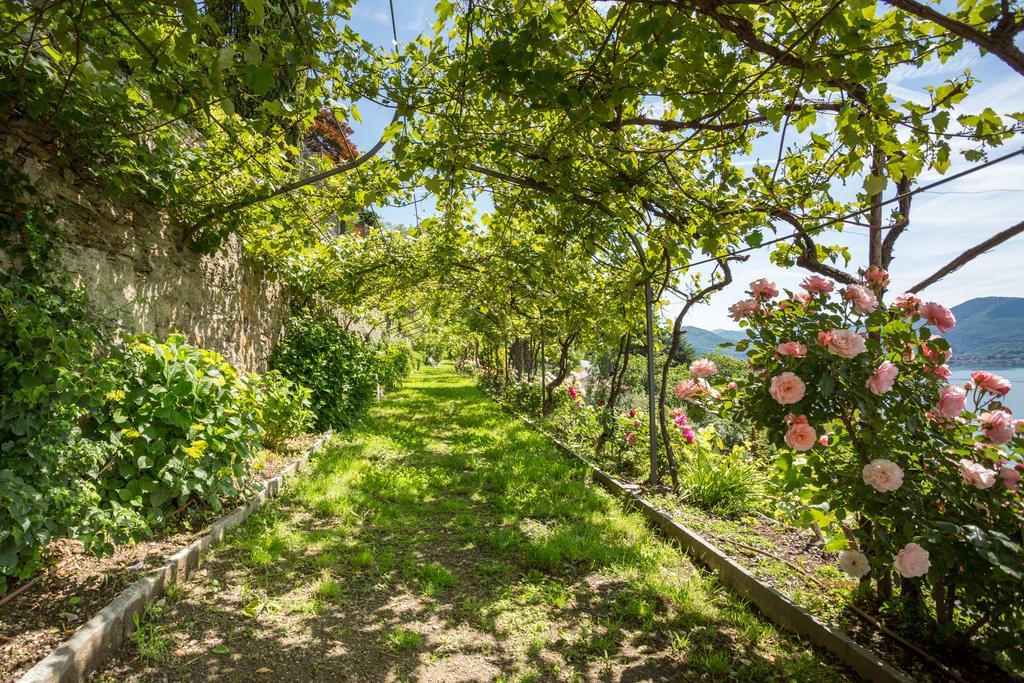 Villa Paradiso Cannero Riviera Zewnętrze zdjęcie